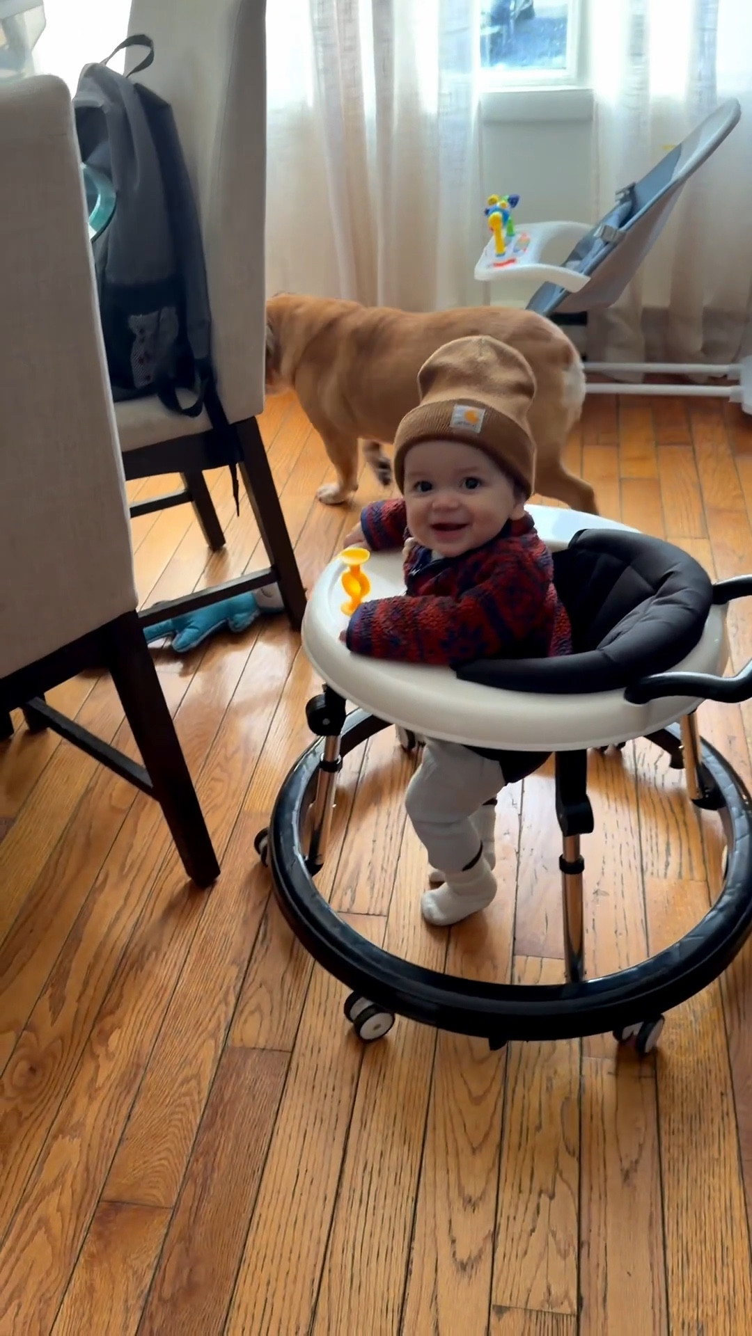 Love playing with him. Hes my entire life!

Also this walker? AMAZING!! Love how round it is avoiding him getting stuck anywhere. If you’re looking for a walker I promise you this is the one! 

#momlife #motherhood #baby #10monthsold #blessed #asmr #babywalker #fyp #amazonfinds #reels #babyproducts #boymom #momof3 #explore

#LTKBaby #LTKmomlife #LTKvlog