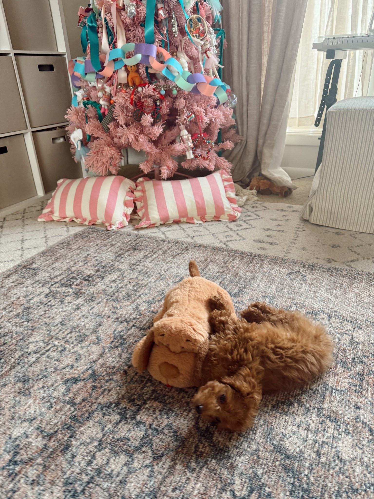 The snuggle puppy is worth every penny! Has batteries - a heartbeat & u can put heat packs in it - resembles their siblings & has totally helped Rosie sleep through the night!!! 👏🏻 

#LTKHoliday #LTKmomlife #LTKGiftGuide