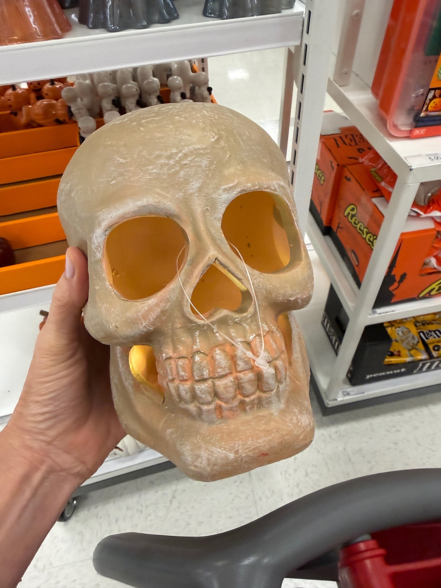 Cute light up skull

#LTKOver40 #LTKHome