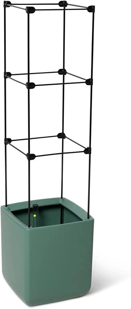 Gardener's Supply Company Oasis Self Watering Tomato Planter with Trellis | 16" High Outdoor Plan... | Amazon (US)