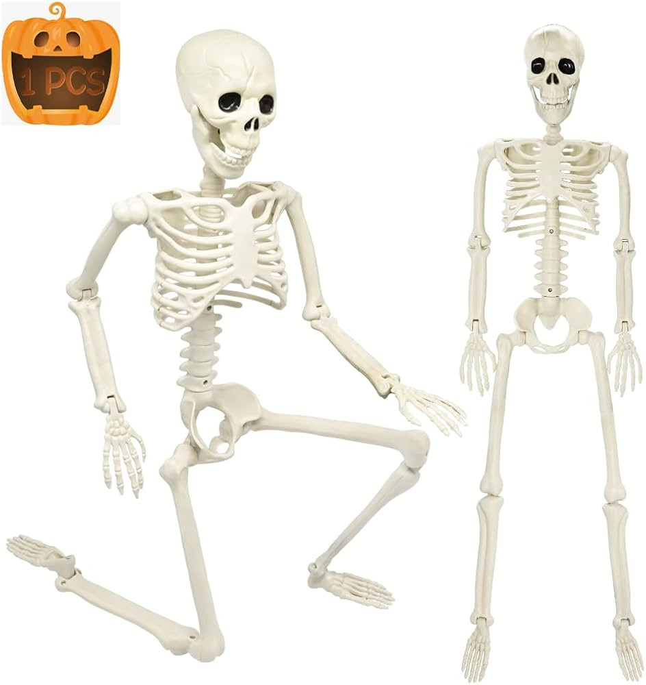 CAMIRUS 3FT Halloween Skeleton, 36" Full Body Halloween Skeleton with Movable Posable Joints, Pla... | Amazon (US)