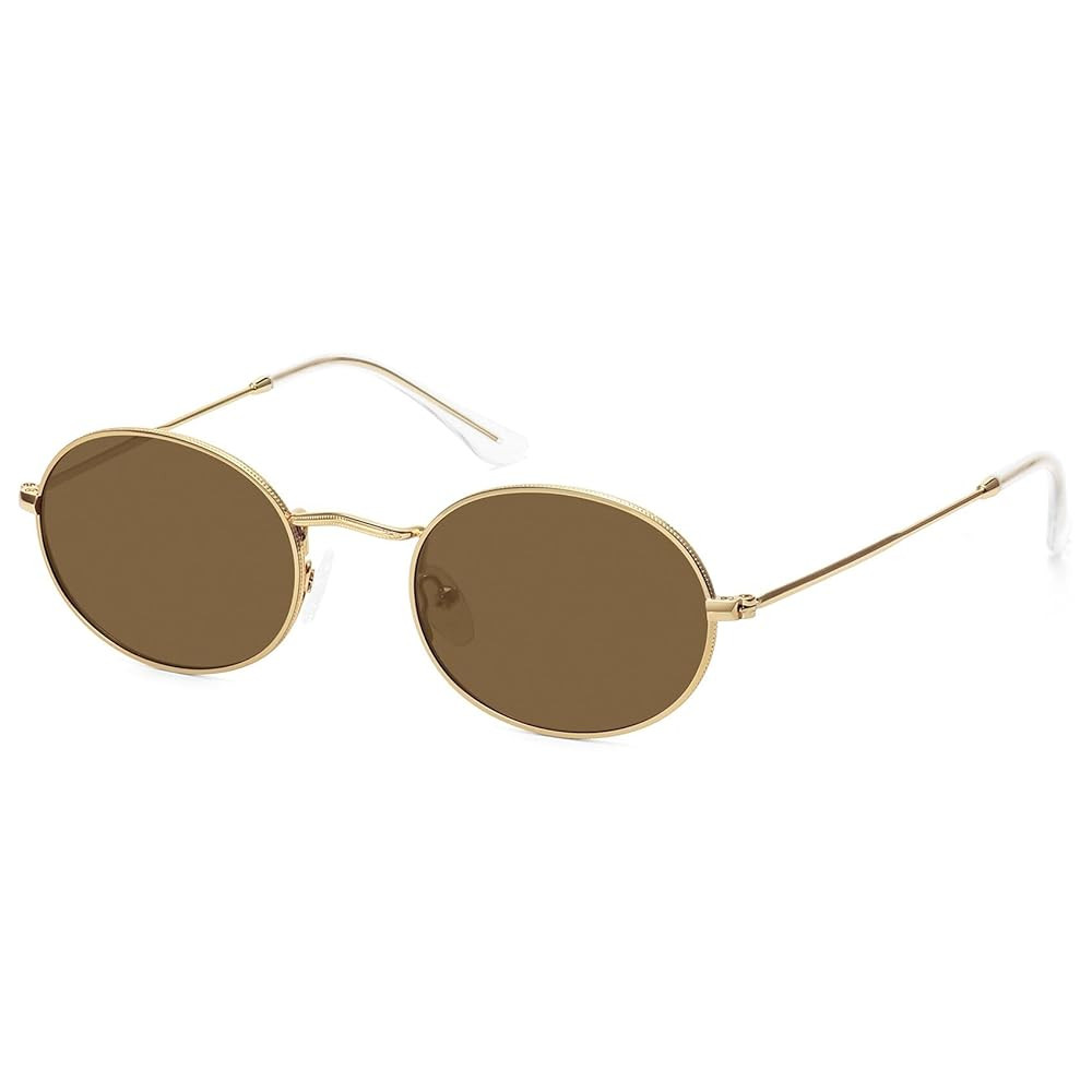 Small Retro Oval Sunglasses for Women Men Trendy Metal Sun Glasses Classic Shades FZN903 | Amazon (US)