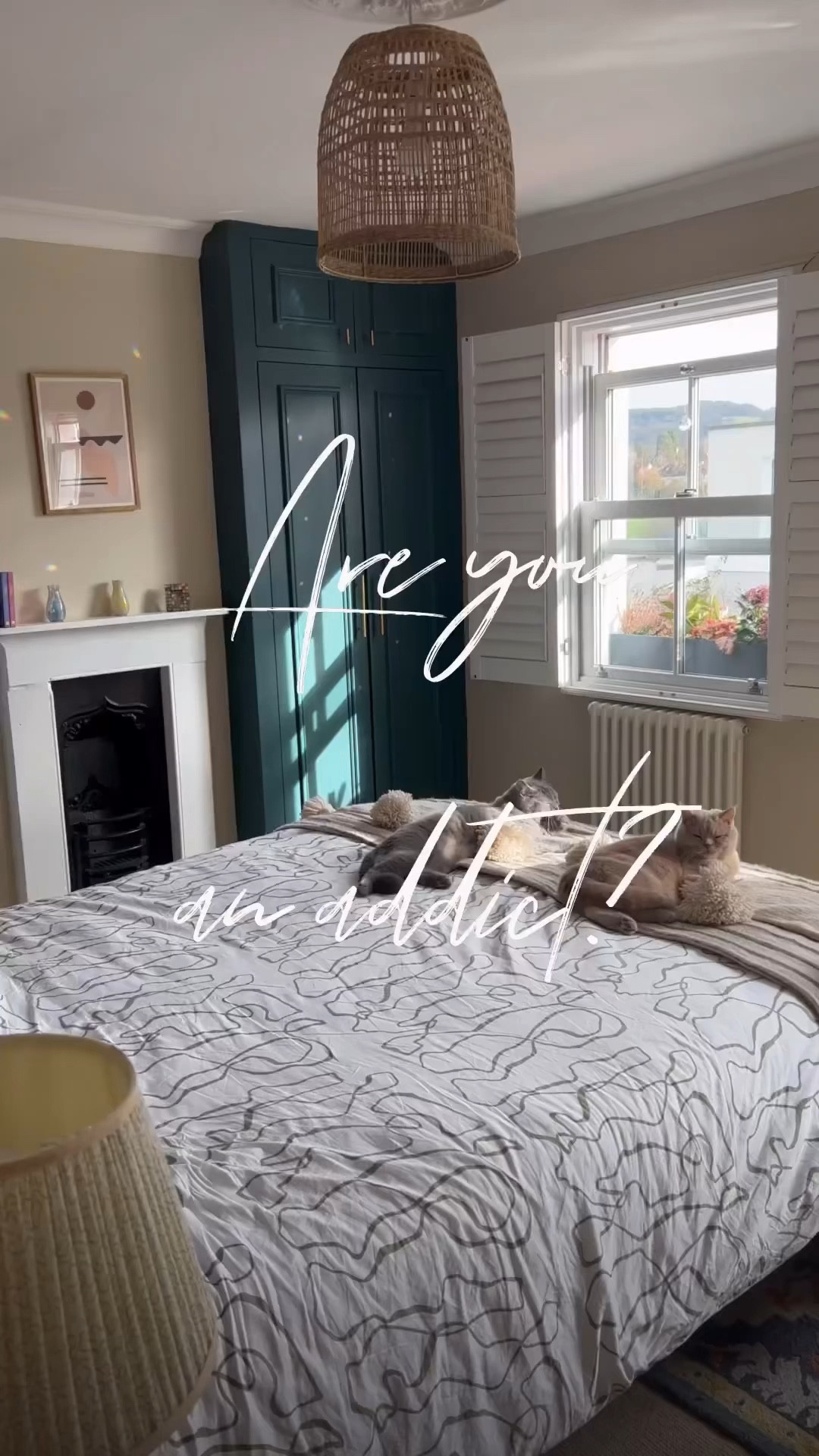 Welcome to my colourful home! 🌸🌼✨

#LTKhome