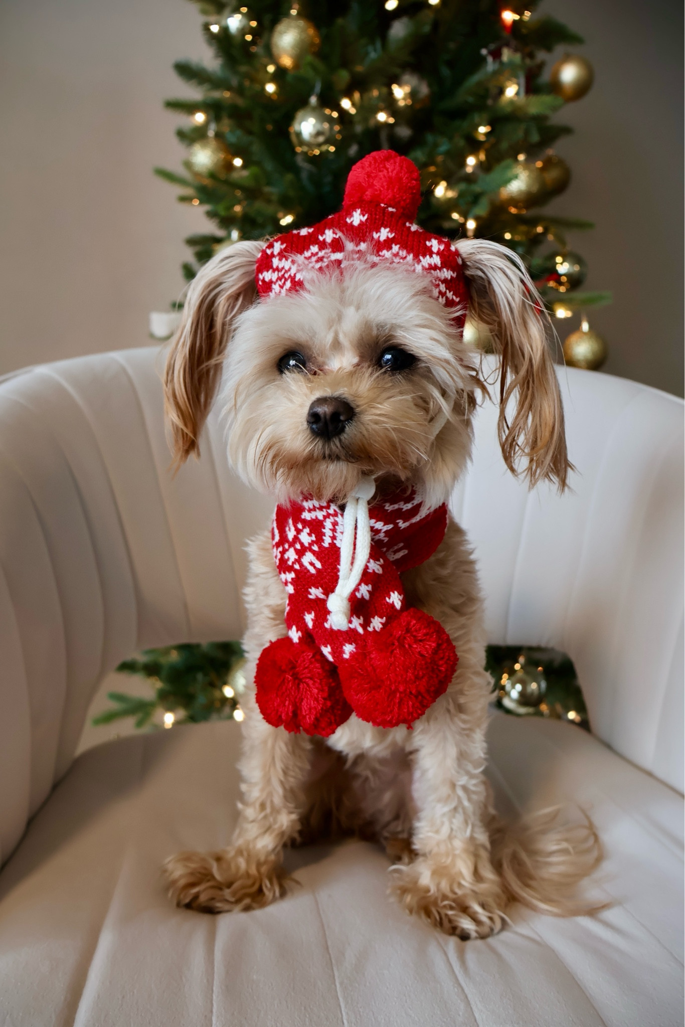Wearing size small!

#LTKHoliday #LTKGiftGuide #LTKSeasonal