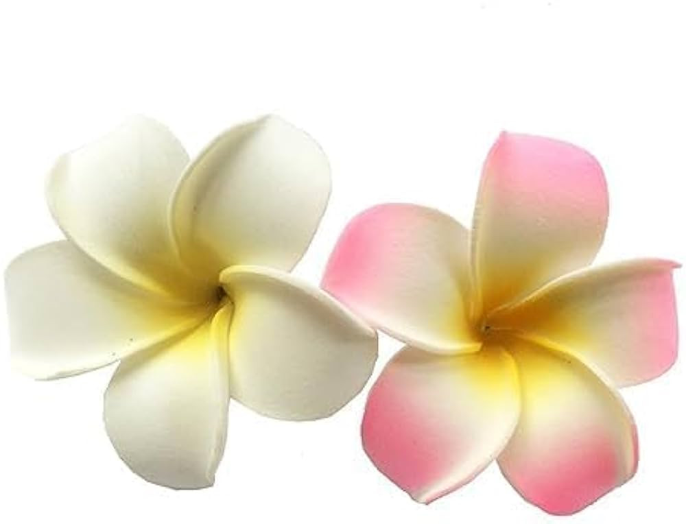 2Pcs White and Pink Hawaiian Frangipani Plumeria Foam Head Flower Party Beach Hair Clip Hair Clip... | Amazon (US)