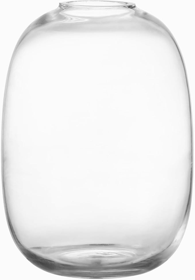 Large Glass Vase, 10 Inches Tall Glass Vases, Clear Glass Vase for Flower, Modern Round Vases for... | Amazon (US)