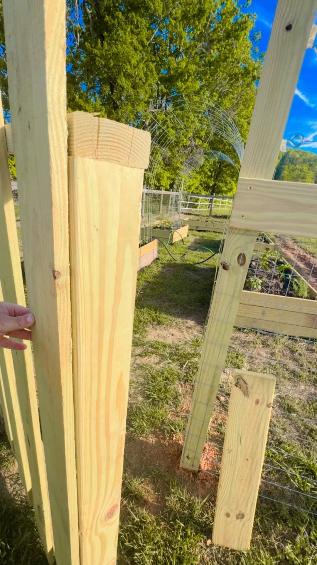 it’s officially morning garden check season around here and I couldn’t be happier 🪴👩‍🌾🧺🪻