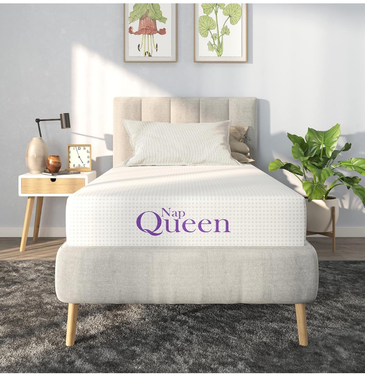 NapQueen 8 Inch Twin Size Mattress, Bamboo Charcoal Memory Foam Mattress, Bed in a Box

#LTKHome #LTKFindsUnder100 #LTKSaleAlert