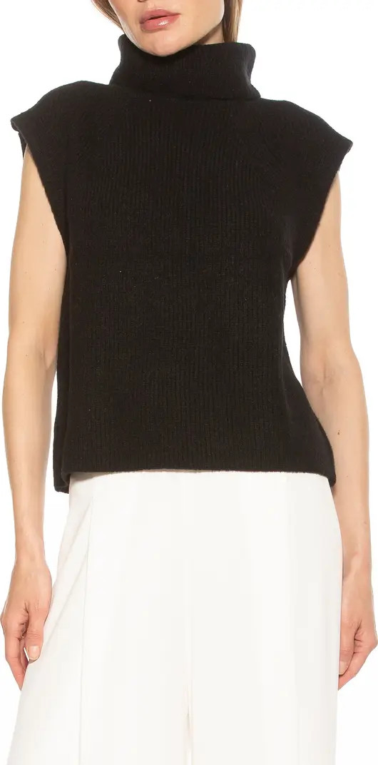 Jaylani Sleeveless Turtleneck Sweater | Nordstrom Rack