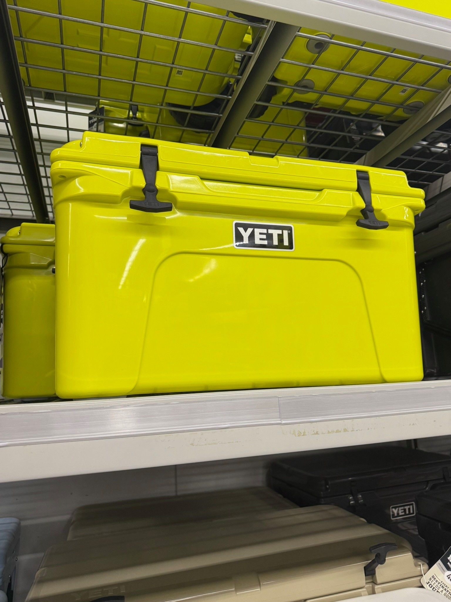 Love this bold YETI cooler for summer!

#LTKSeasonal #LTKTravel #LTKFamily