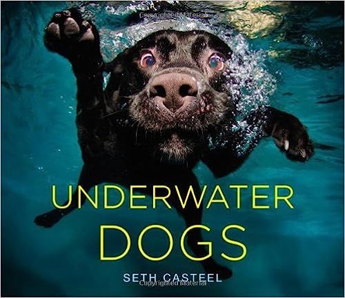Underwater Dogs | Amazon (US)