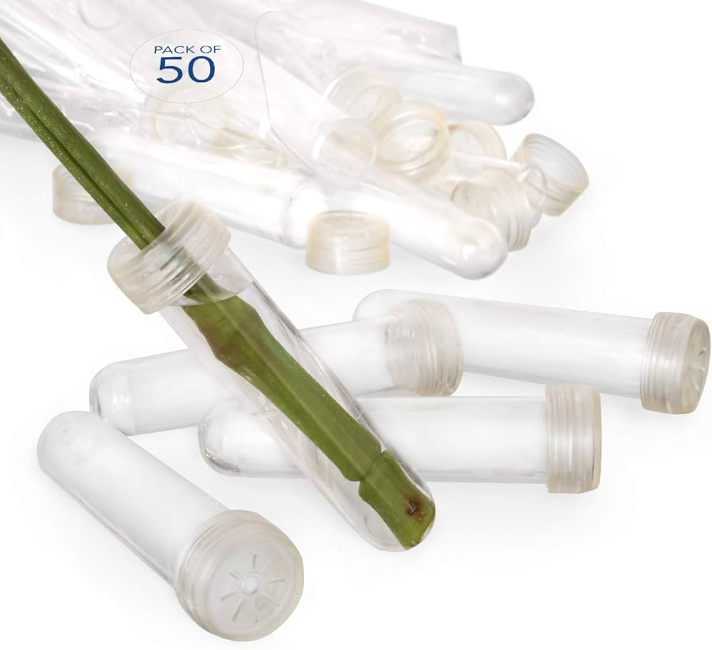 Floral Water Tubes/Vials for Flower Arrangements by Royal Imports, Clear - 3.5" (3/4" Opening) - ... | Amazon (US)