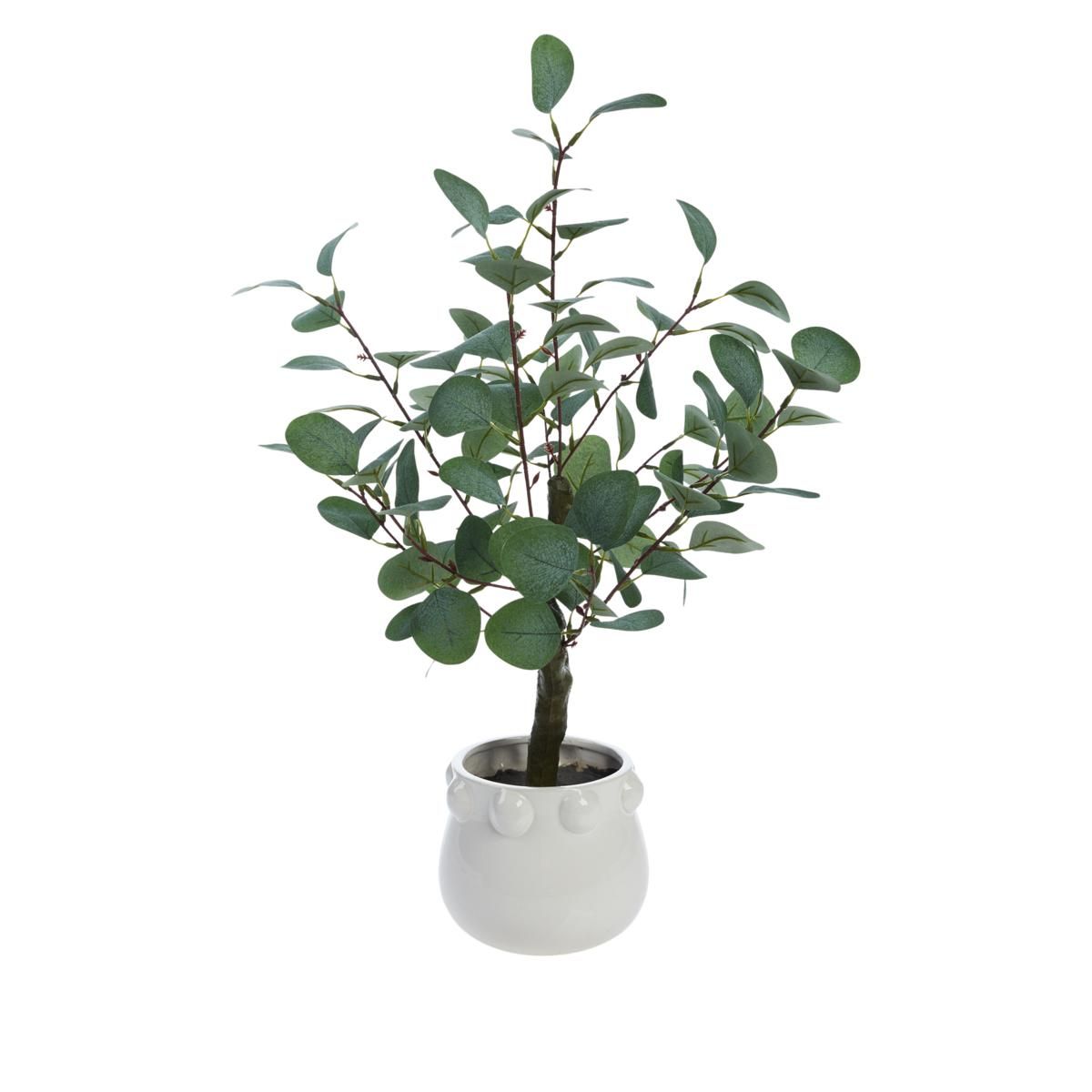 Clover by Jo 26" Faux Eucalyptus in a Ceramic Pot | HSN