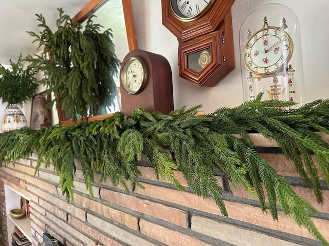 Afloral The Original Real Touch Norfolk Pine Garland - 60" | Amazon (US)