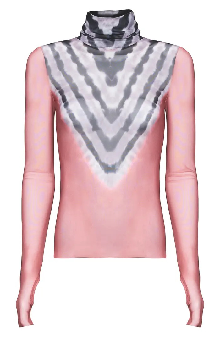 Zadie Semi Sheer Turtleneck | Nordstrom