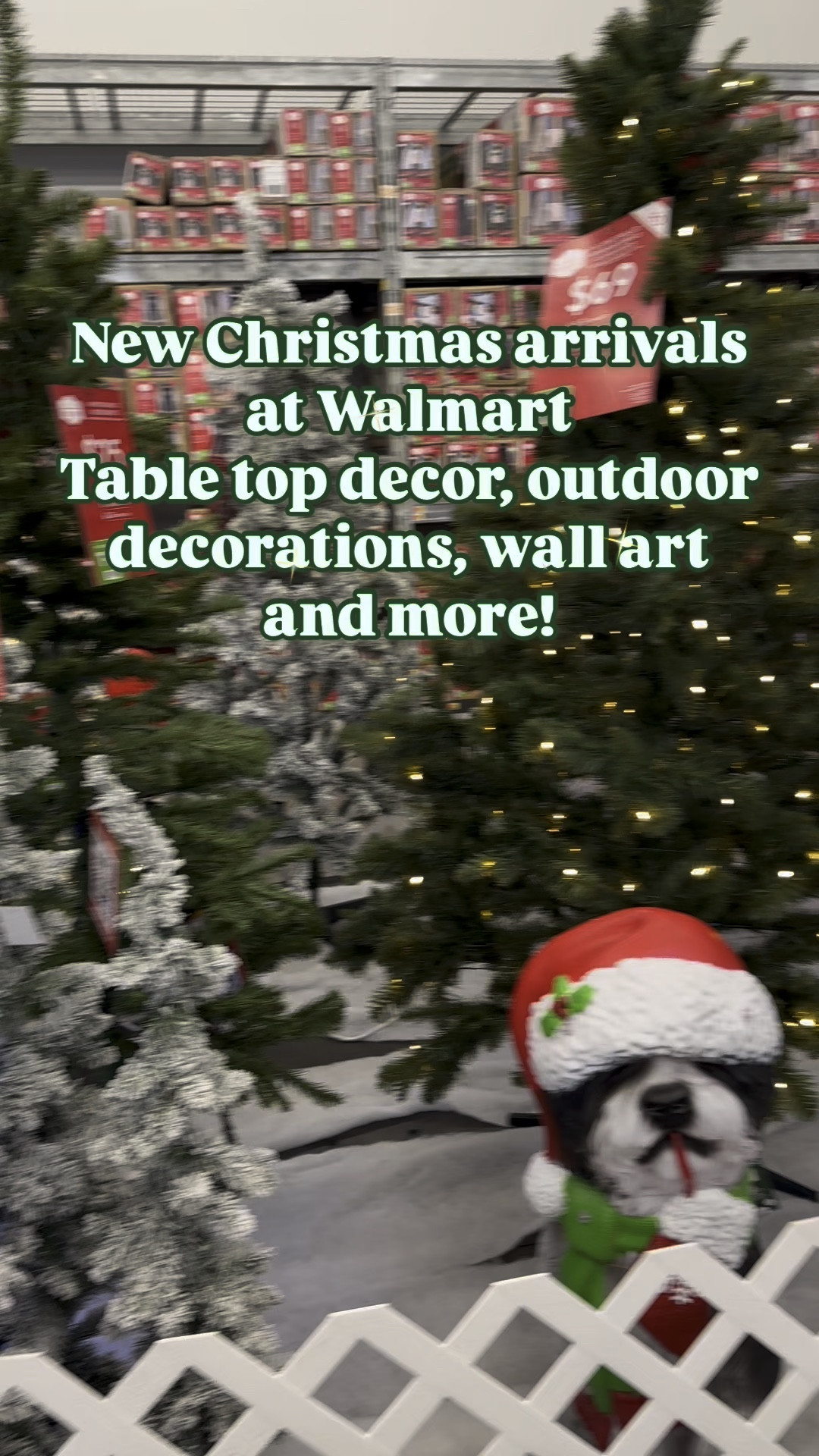 New Christmas decor arrivals at Walmart 

Indoor decor, Christmas trees, outdoor decorations, cookie cutter decor, gingerbread decor 

Follow me for more seasonal and holiday content! 🎅🏼🎄

#christmas2024 #christmas #cozyvibes #christmascountdown #christmastree #happyholidays #christmasdecor #walmartchristmas #mytexashouse #walmartcreator #iywyk

#LTKHome #LTKSeasonal #LTKVideo