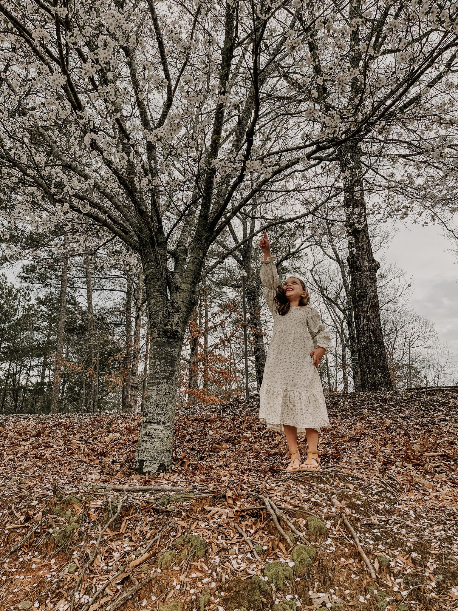 The cutest little dress and so comfy! Perfect for family Photoshoots or any day really. If your kiddo is really picky about fabrics you may want to try out this dress. It feels like a baby blanket and my daughter loves it. 

#LTKfamily #LTKkids #LTKSeasonal