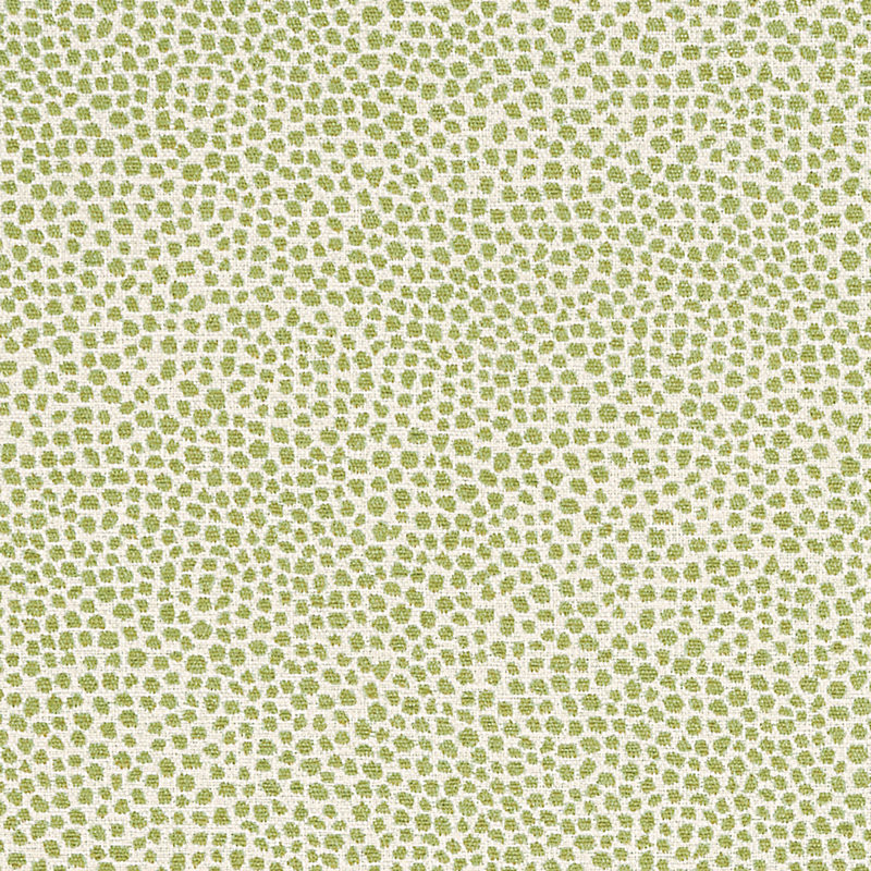 Tully Pear Fabric by the Yard - Ballard Designs | Ballard Designs, Inc.