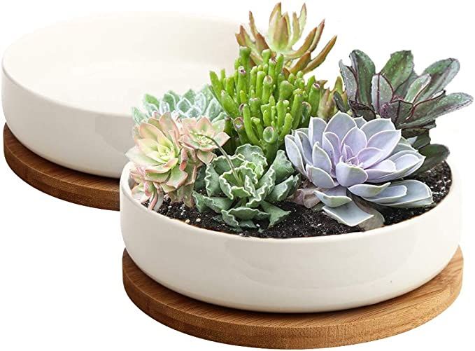 Succulent Pots, ZOUTOG 6 inch White Ceramic Flower Planter Pot with Bamboo Tray, Pack of 2 - Plan... | Amazon (US)