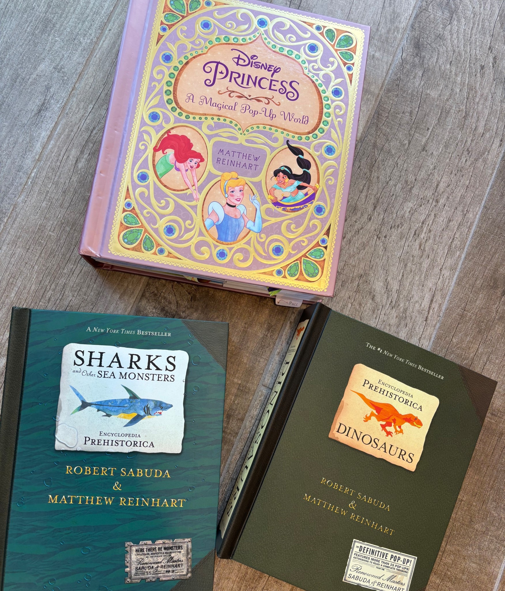 Pop up books for kids

#LTKBump #LTKKids #LTKBaby