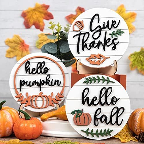 DAZONGE Fall Decor, 3D Fall Decorations for Home, 3 Round Wood Fall Signs with Easel for Thanksgi... | Amazon (US)
