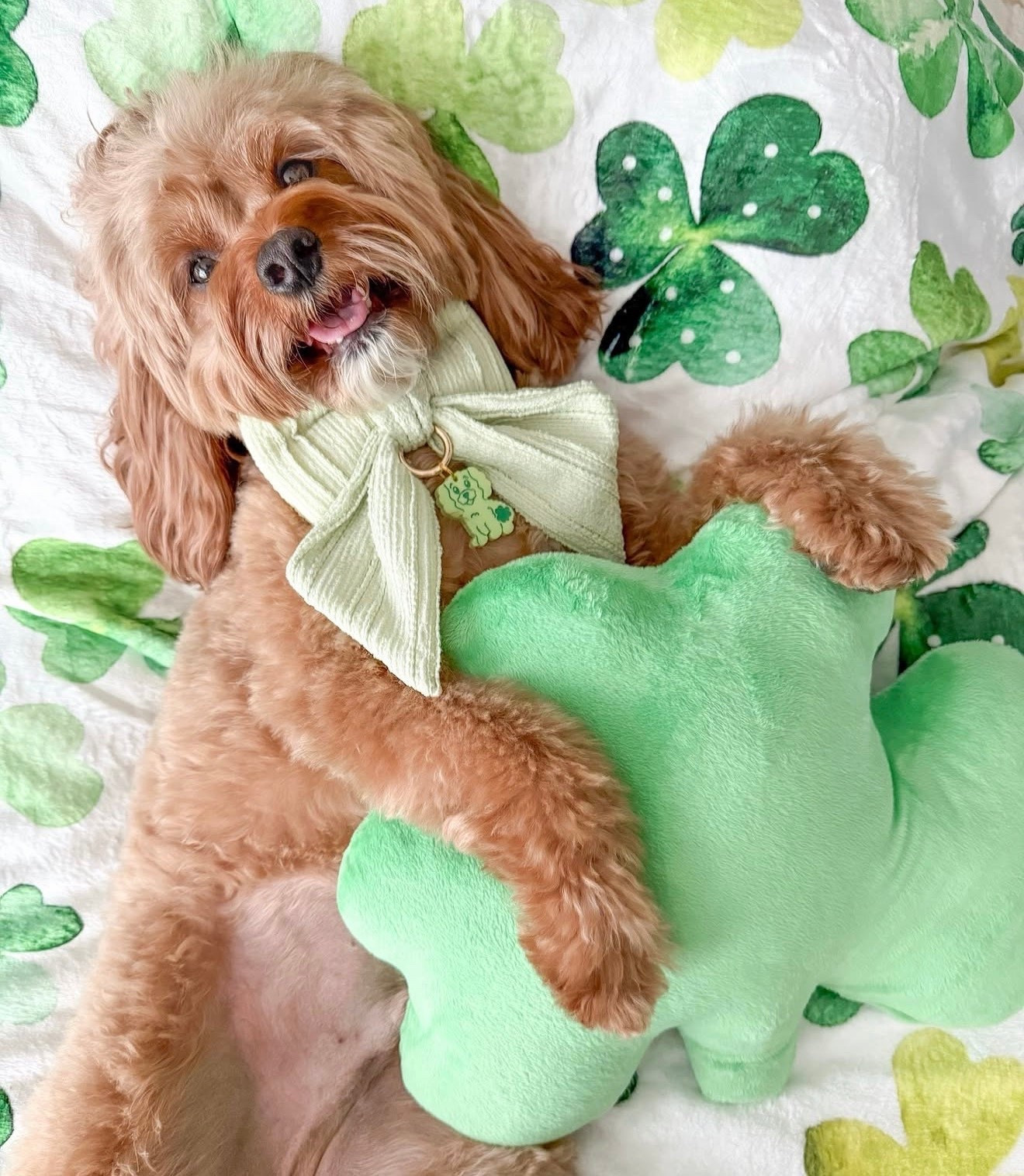 St Patrick’s Day Accessories 🍀💚 Got these last year! Blanket still available but linked other options for the pillow. Tag from @dozeofdvibe OLLIE to save 