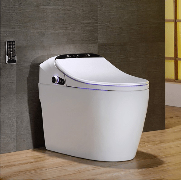 Modern Smart One-Piece 1.27 GPF Floor Mounted Elongated Toilet and Bidet with Seat-Homary | Homary