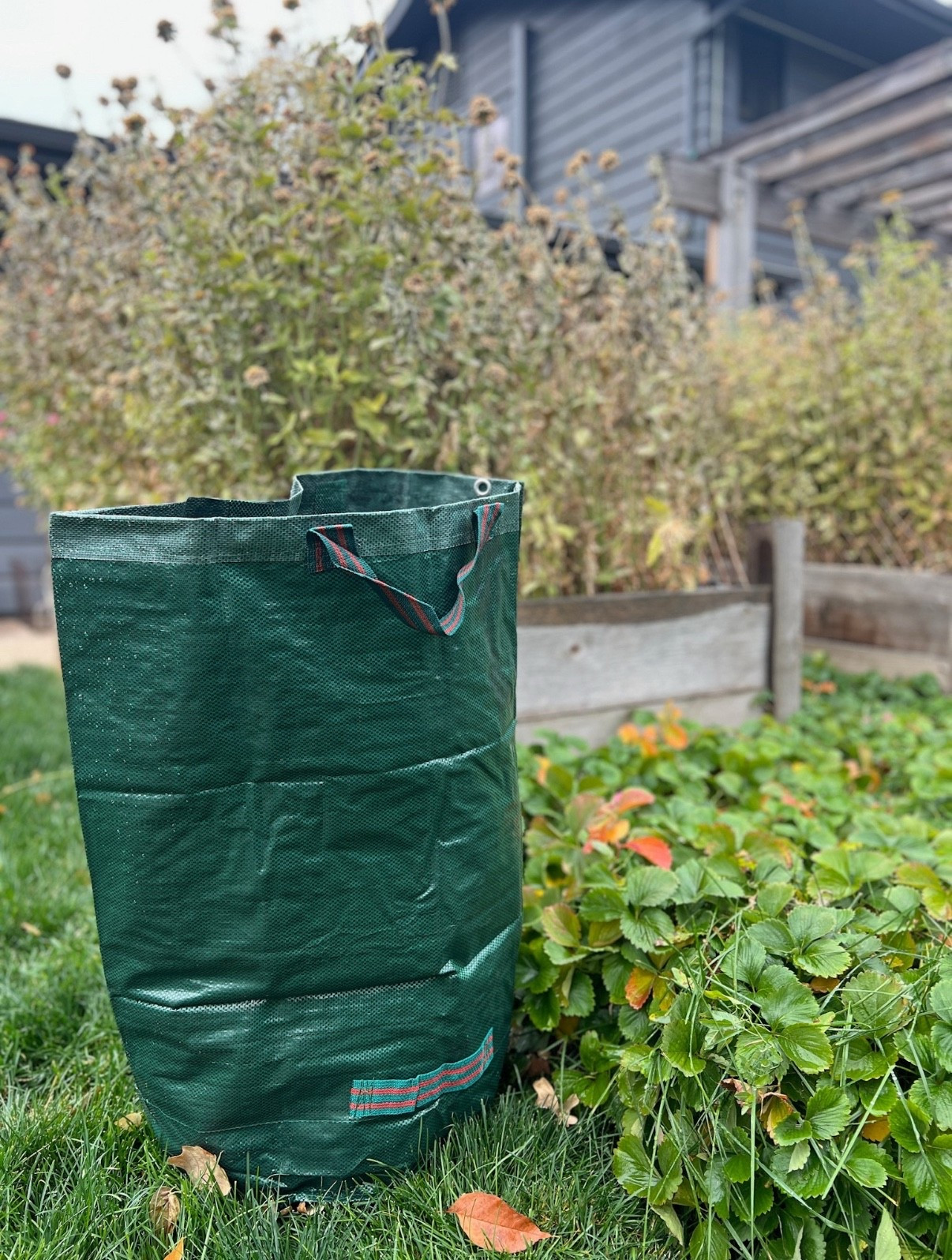It’s time to start cleaning out your raised garden beds for the winter season! These reusable garden bags make the job so much easier.  

#LTKSeasonal #LTKFindsUnder50 #LTKFindsUnder100
