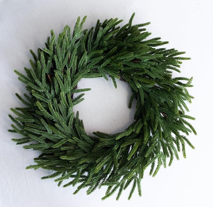 24" Real Touch Norfolk Pine Wreath, Christmas Wreaths for Front Door 24 inch, Green Wreath Christ... | Amazon (US)