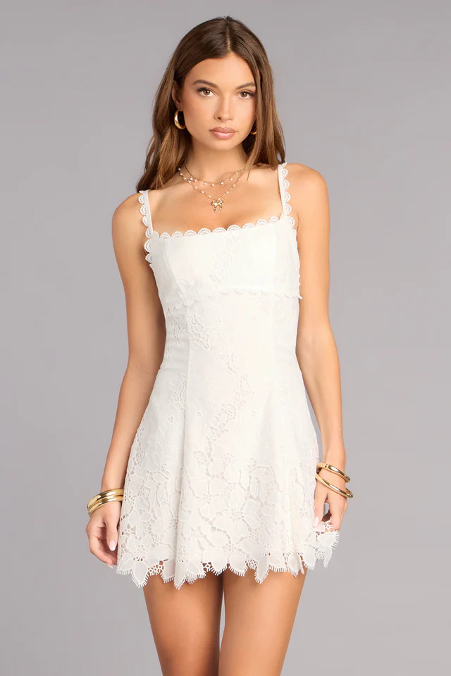 Charmed And Booked Lace Skater Dress | Windsor Stores