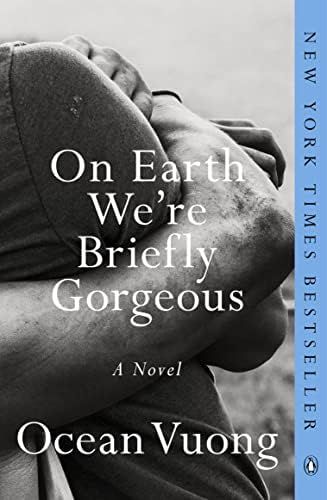 On Earth We're Briefly Gorgeous: A Novel | Amazon (US)