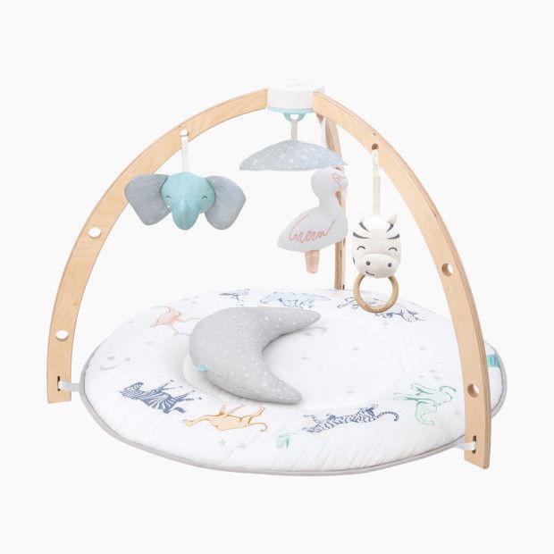 Play + Discover Activity Gym | Babylist