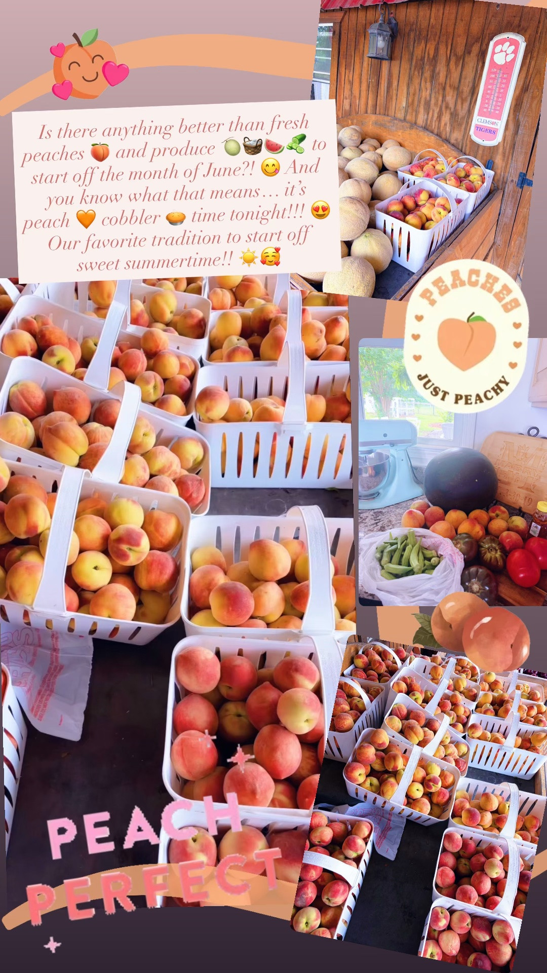 Is there anything better than fresh peaches 🍑 and produce 🍈🧺🍉🥒 to start off the month of June?! 😋 And you know what that means… it’s peach 🧡 cobbler 🥧 time tonight!!! 😍 Our favorite tradition to start off sweet summertime!! ☀️🥰