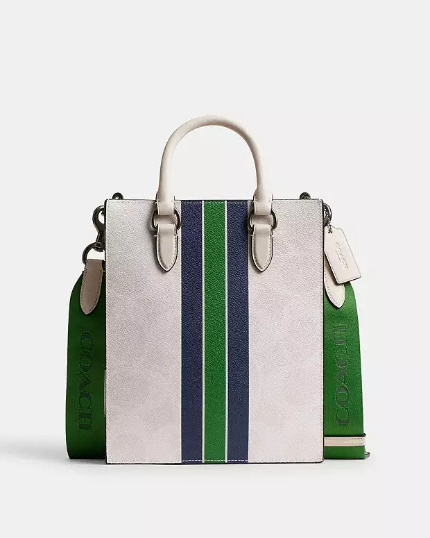 Dylan Tote Bag In Signature Canvas With Varsity Stripe | Coach Outlet US