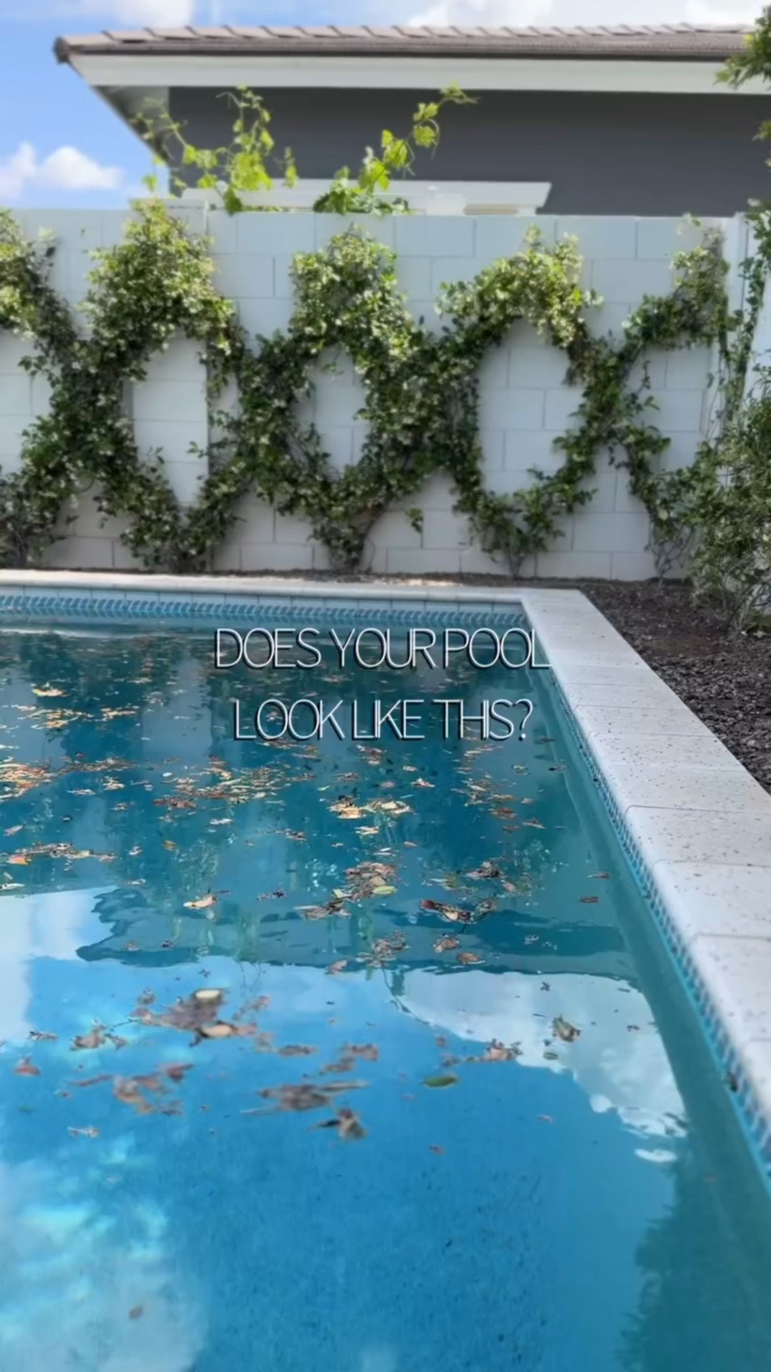 Aiper Day is here! 🎉 If you have a pool, or plan to have one, these are the pool tools you need to know about. I’ve been using three game-changing items from @aiperofficial & we are genuinely so impressed with how much easier they’ve made pool care this season.

✨Comment AIPER DAY for the link to take advantage of Aiper Day savings & make your pool maintenance routine effortless! 
🏷️ 5% OFF : MAX5OFFCODE 
((On The Aiper Website!))

💧 Aiper Scuba X1 Pro Max
This robotic pool cleaner is a powerhouse. It features four intelligent cleaning modes—floor only, wall only, floor + wall, & waterline so you can tailor each cleaning session based on your pool’s needs.

What really sets it apart?
✔️ Upgraded battery with quick charging & up to 10 hours surface only & 5 hours floor only.
✔️ Smart path planning with advanced mapping for thorough, efficient cleaning
✔️ Powerful suction & 9 brushless motors that leave no debris behind.
It’s hands-free, hassle-free & honestly one of the best investments we’ve made for pool maintenance.

💧Aiper HydroComm Pro
This little device has been a lifesaver when it comes to pool diagnostics. It connects to your smartphone and gives you real-time insights into your pool’s chemistry & water health so no more second guessing or dealing with test strips. Just accurate, easy-to-understand info to keep your water crystal clear.

💧Aiper Caddy
If you’ve ever struggled to move your pool equipment around, you’ll appreciate this. The Aiper Caddy is designed to store and transport your cleaner and accessories with ease. It keeps everything organized and mobile, which is especially helpful if you’re tight on storage or want to keep your gear protected.

✨ Whether you’re a seasoned pool owner or preparing for your first summer with one, this trio makes pool care smarter, faster & way more convenient.

#ad 
#Aiper 
#AiperPoolCleaner 
#AiperScuba X1 Pro Max
 #AiperDay
 #AiperPartner
 #PoolLifeMadeEasy 
#SmartPoolCare
#poolvacuumcleaner