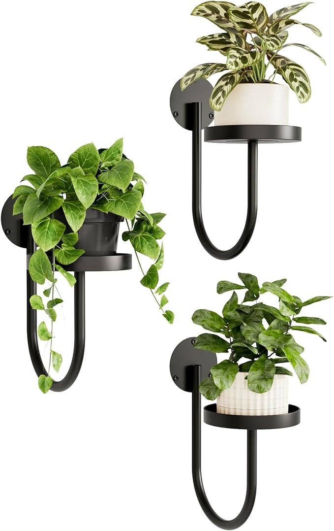Bamworld Hanging Planters for Indoor Plants Wall Plant Holder Plant Hanger Indoor Wall Planters W... | Amazon (US)