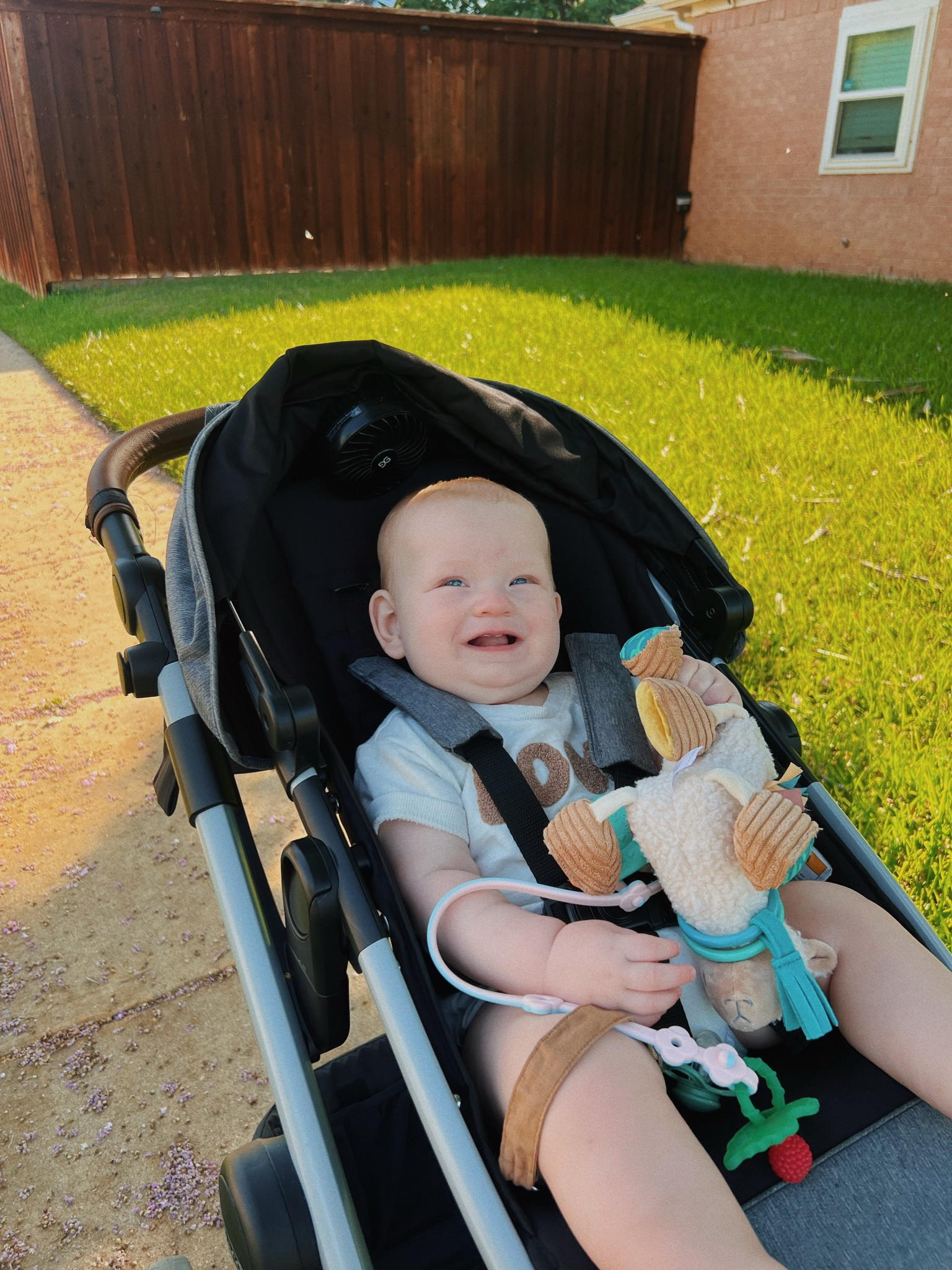 I love these morning walks with my mini bestie. these toys keep him occupied during our walk and give him something to chew on. 

Itzy ritzy, silicon toy, graco, llama, teether, razbaby, 8 month old, walk with baby

#LTKBaby
