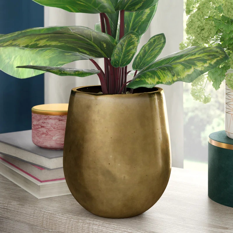 Roybal Ceramic Pot Planter | Wayfair North America