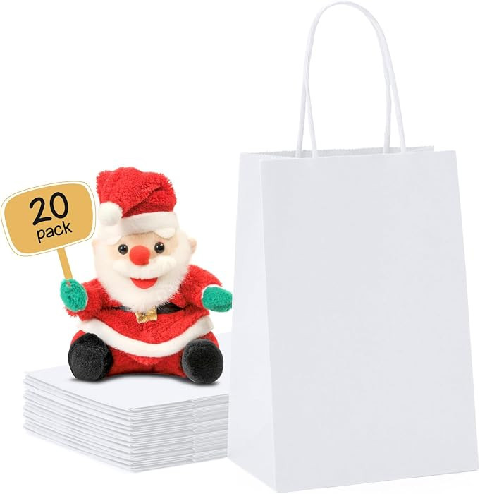 METRONIC Gift Bags 5.25 x 3.75 x 8 Inch 20 Pack White Paper Bags | Amazon (US)