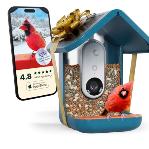 Birdbuddy PRO Solar Smart Bird Feeder with Camera - AI Bird Species Identification, 5MP Photos, 2K HD Video Live Stream Camera, Slow-Motion Video, 2.6in Focus - Blue Solar | Amazon (US)