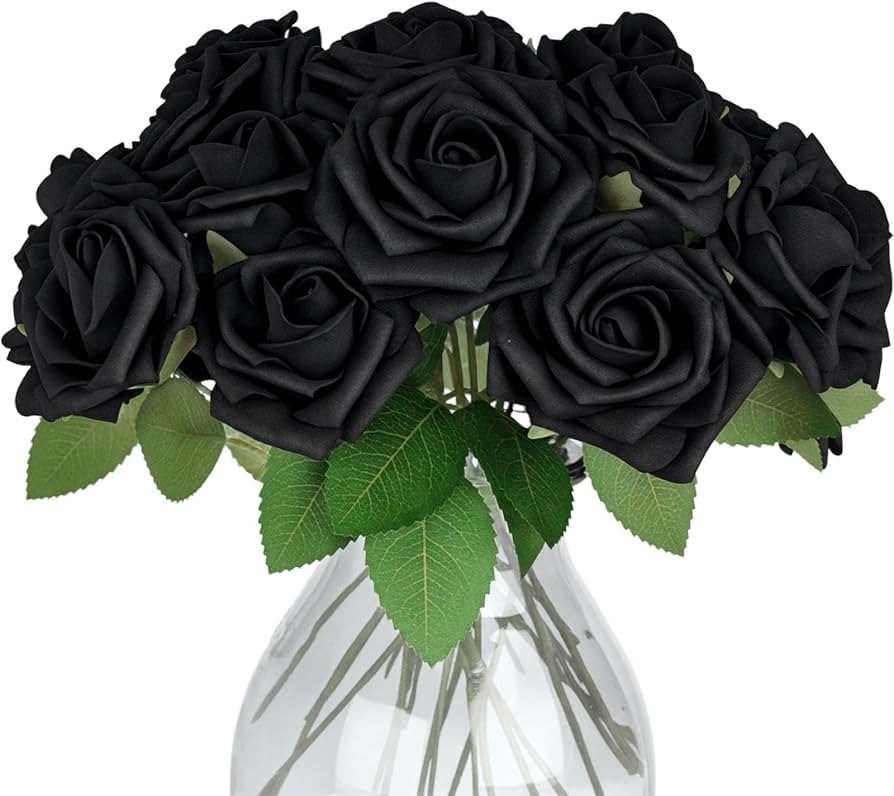 JOHOUSE 20PCS Black Roses with Stem and 10PCS Rose Heads, Gothic Decor | Amazon (US)