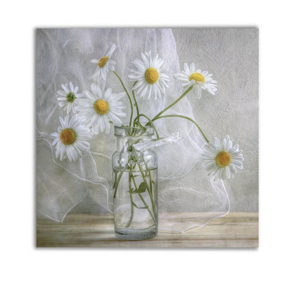 Daisies - Photograph | Wayfair North America