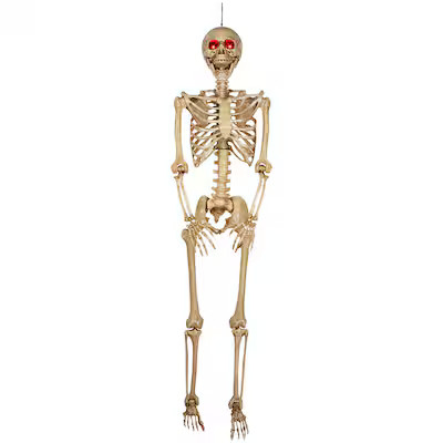 Haunted Living 5-ft Hanging Skeleton with Red Eyes Decoration | Lowe's