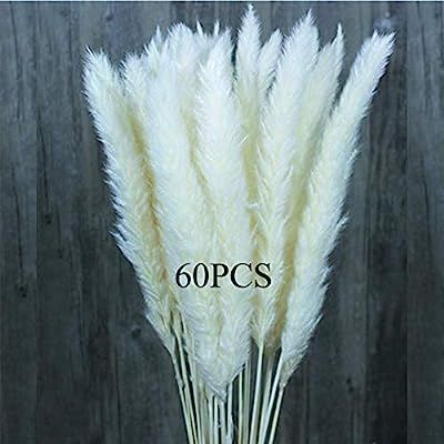 30/60 Pcs Natural Dried Flowers Pampas Grass,Wedding Flower Bunch,Phragmites Communis Bouquet for... | Amazon (US)