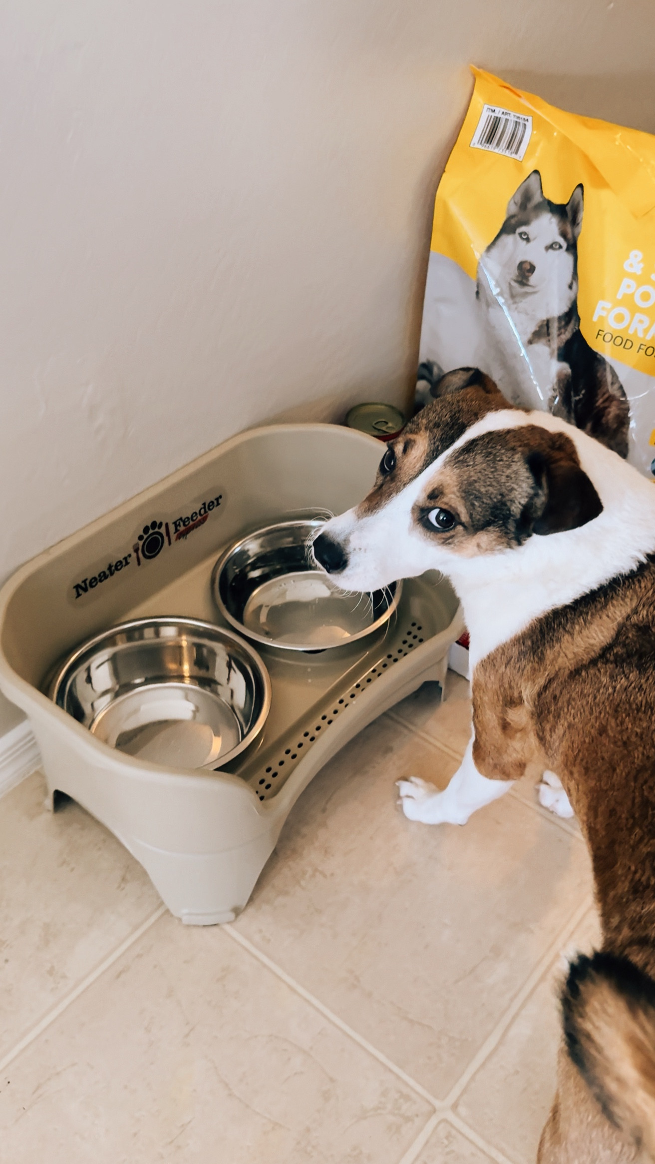 It’s like she flicks her food at the wall and on the floor on purpose 🙄😒🐕

But I found this Neater Feeder on Amazon. It has a secondary layer underneath the stand so if any food falls or or water spills out of the bowls it catches it and I’ll go down below. I mainly got it for the barrier around the bowls because when my dog eats, it’s pees all over the wall floor for some reason lol.

They have a few different sizes, this one is the medium large size. I had ordered the small size 1st and realized it was just way too small. My dog is about 25 pounds so she was right on the cusp of their pet size recommendations. So if your dog is in between definitely size up. Because my dog is not that big and I went with the bigger option, color almond.

#LTKFindsUnder50 #LTKHome #LTKPets