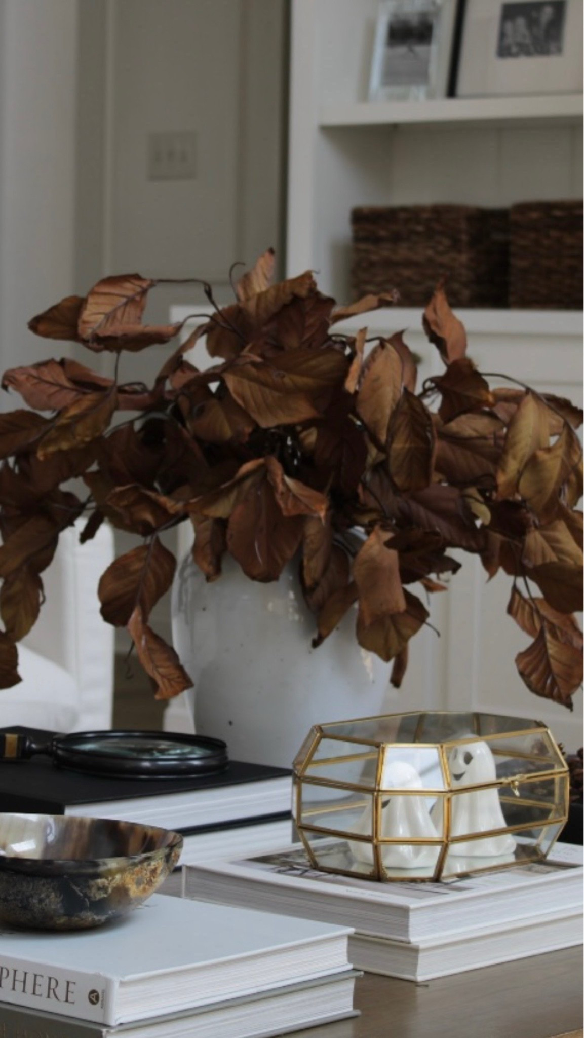 My FAVORITE fall stems are back in stock! These sold out so fast last year. They are so realistic & the perfect color for fall. 🍂

#LTKSeasonal #LTKHome #LTKSaleAlert