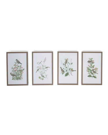 4pc 16x24 Botanical And Bird Wall Art Set | TJ Maxx