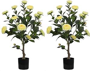 Artificial Flower Trees Indoor, 【 2 Pieces 】 Faux Floral Plants 30 Inch Faux Blooming Camelli... | Amazon (US)