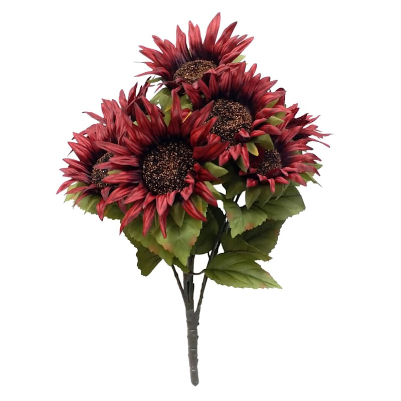Burgundy Sunflower Bush, 18" | At Home