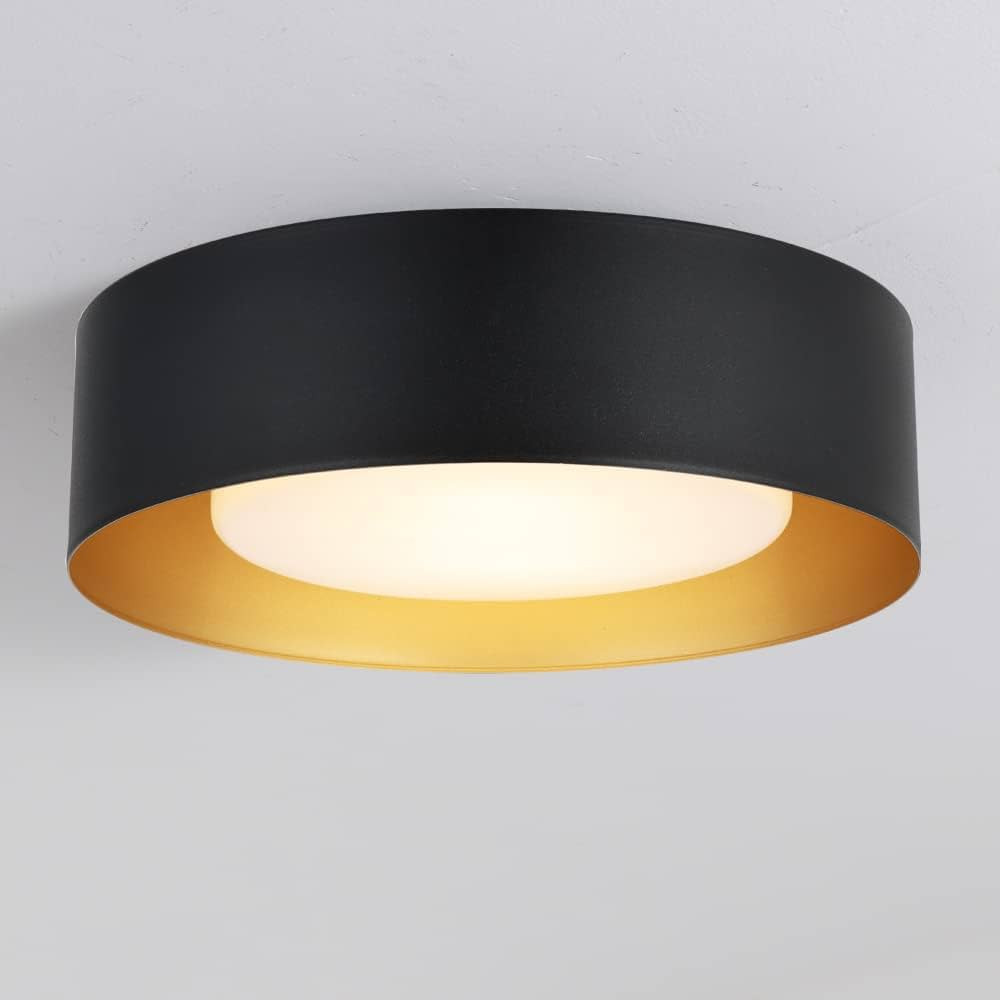 Modern Flush Mount Ceiling Light,Minimalist Close to Ceiling Lighting Fixture,Black and Gold Circ... | Amazon (US)
